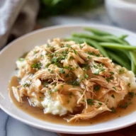 Slow Cooker Shredded Chicken and Gravy