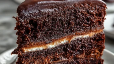 Dark Chocolate Lovers Dream | Mount Doom Cake