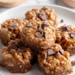 Fudgy Crunchy No-Bake Magic