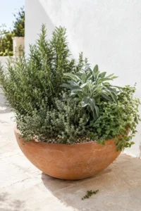Herbs That Grow Well Together: Easy Herb Pairings for Pots and Garden Beds
