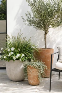Patio Container Garden Ideas: Easy Pots for a Lush Outdoor Space