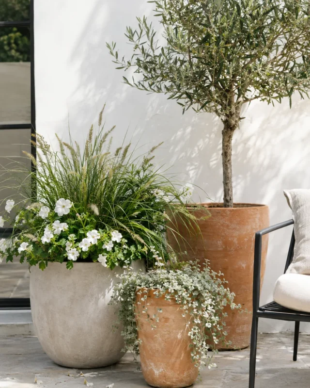 Patio Container Garden Ideas for a Lush, Easy Outdoor Space
