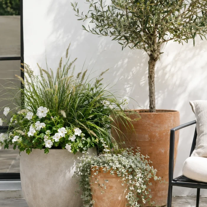 Patio Container Garden Ideas for a Lush, Easy Outdoor Space