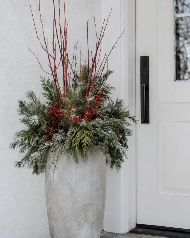 Winter Container Ideas: Beautiful Outdoor Pots for the Cold Months